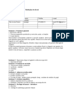 Model Plan de Afaceri