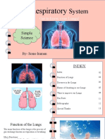 Respiratory: Get To Know Your Lungs!