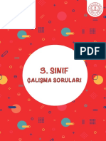 3 Sinif Calisma Sorulari