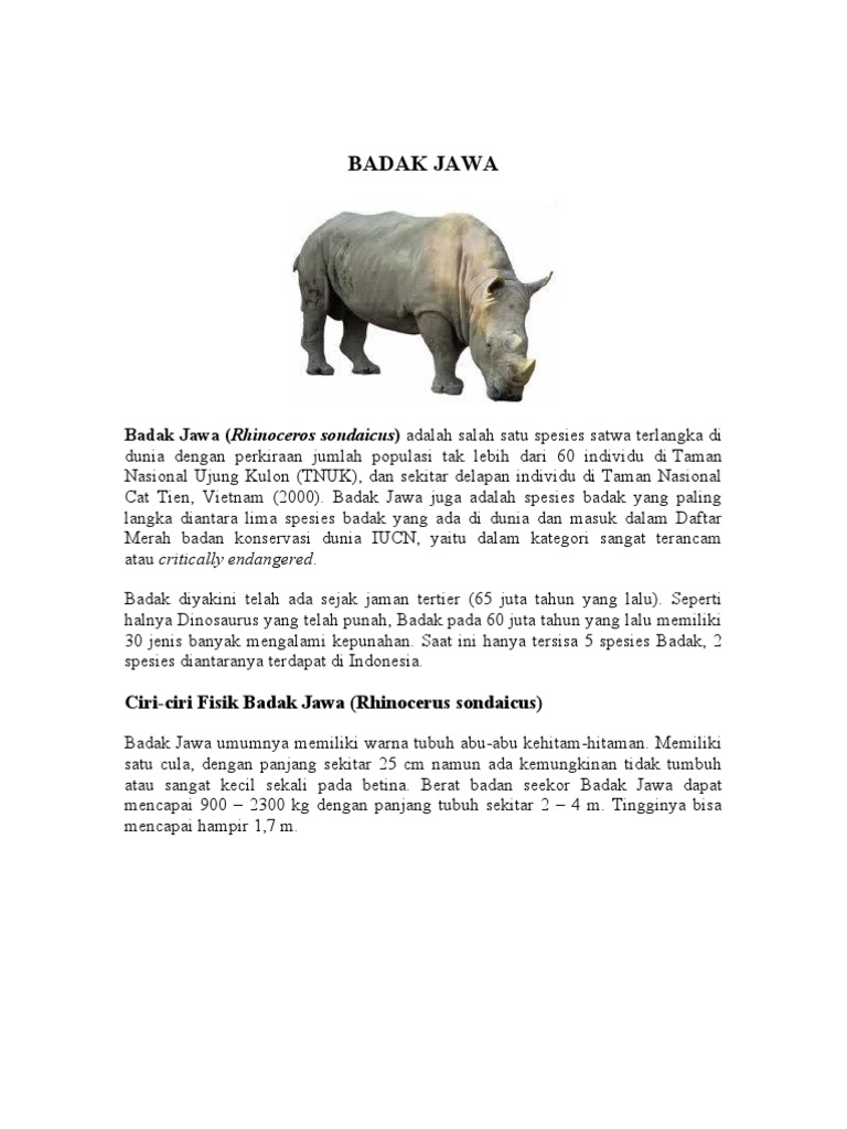 Badak Jawa