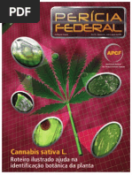 roteiro para identificação da cocaína