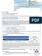 PCR Taan Report Test Esp