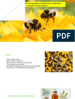 Contribuição da reprodução assexuada na exploração econômica das abelhas
