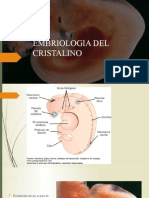 Embriologia Del Cristalino 2