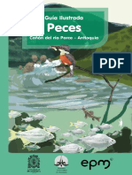 Guia Ilustrada Canon Del Rio Porce Antioquia Peces