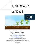 A Sunflower Grows - OpenDyslexic Font