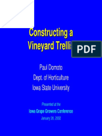 Constructing A Vineyard Trellis