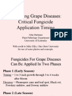 Managing Grape Diseases: Critical Fungicide Application Timing