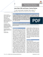 Adipose Stem Cells and Cancer - Concise Review 2019