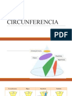 Curvas Cónicas y Circunferencia