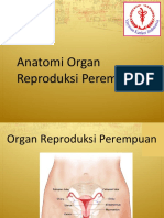 Anatomi Dan Fisiologi Serviks