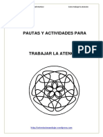 Orientacion Andujar Pautas y Actividades Para Trabajar La Atencion (1)