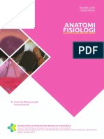 ANATOMI-FISIOLOGI