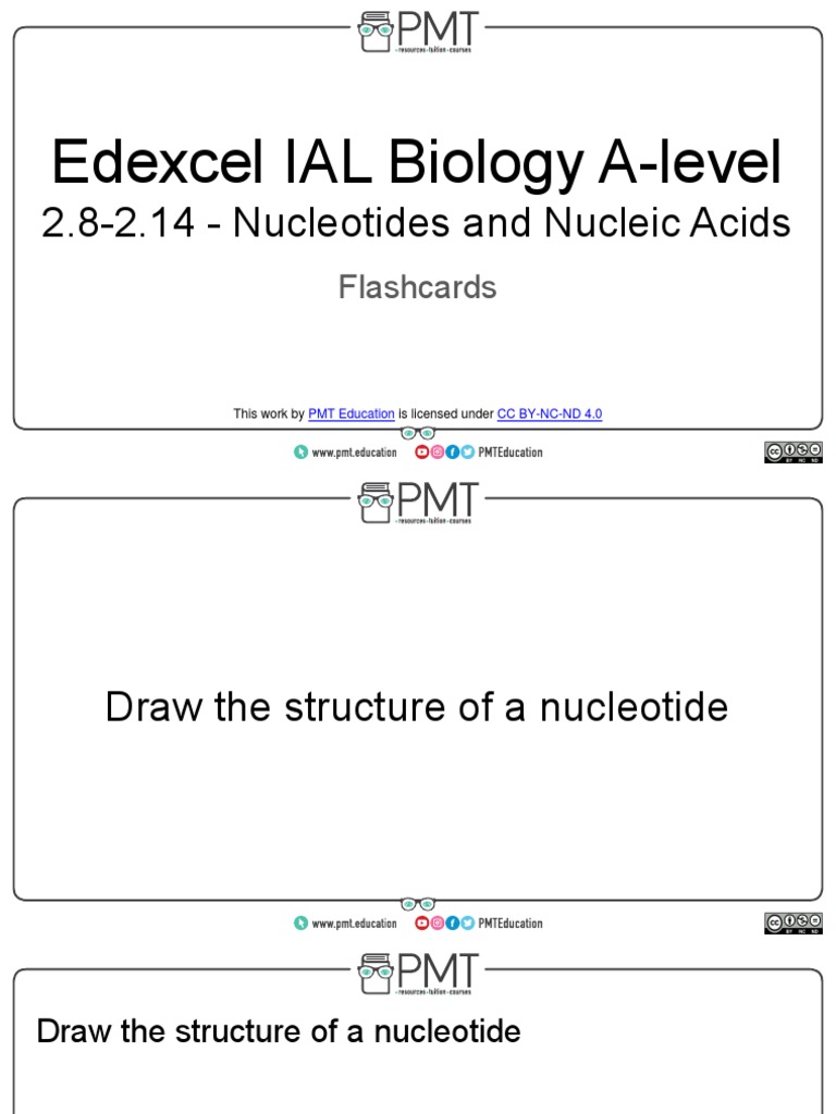 Nucleotides and Nucleic Acids Overview | PDF | Translation (Biology) | Dna
