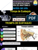 Anexos Del Ojo