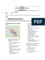 LK 2 Reproduksi Manusia