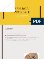 BPH and CA Prostate