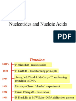 Nucleotides and Nucleic Acids