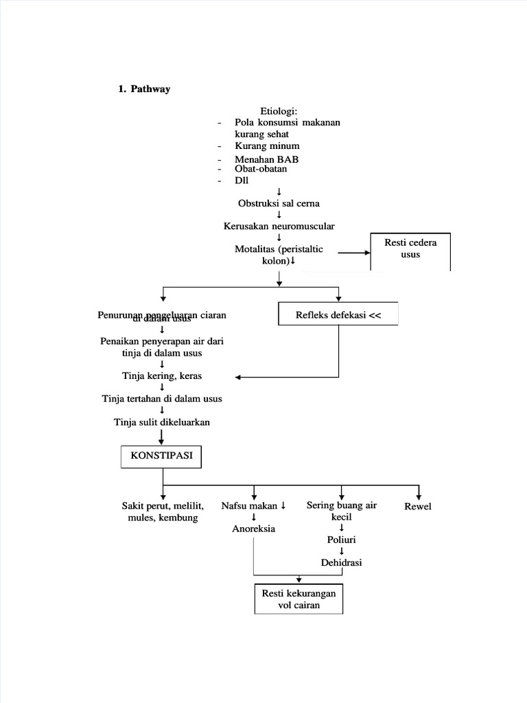 PDF Pathway Konstipasi - Compress | PDF
