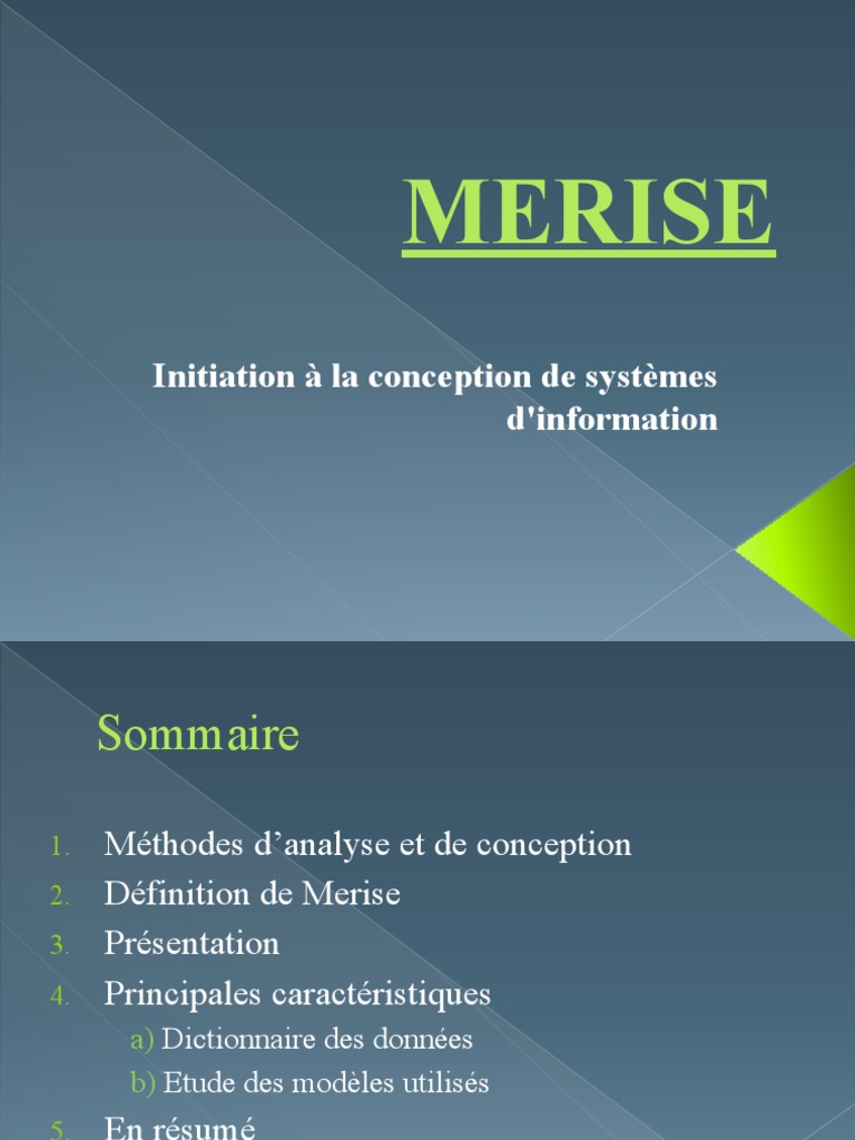 Introduction à la méthode MERISE | PDF | Langage de programmation ...
