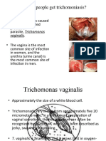 How Do People Get Trichomoniasis?: Vaginalis