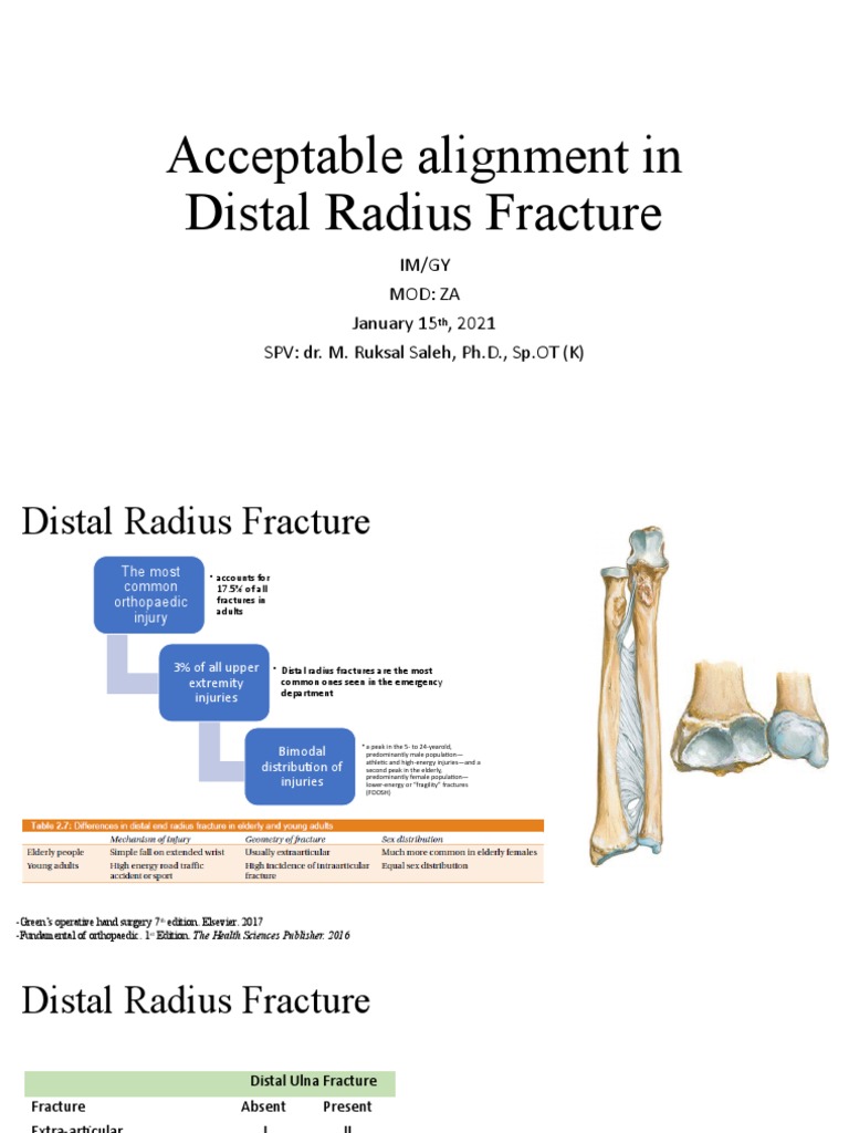 Acceptable Alignment in Distal Radius Fracture Download Free PDF