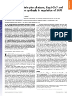 Protein phosphatases and glycogen regulate yeast SNF1 kinase