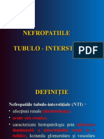 Nefritele Tubulo Interstitiale - Copy