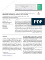 Asgher Et Al.. 2020. Improved Exopolysaccharide Production From Bacillus Licheniformis MS3 Optimization and Structuralfunctional Charact