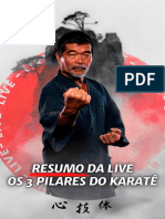 00 Resumo Da Live Os 3 Pilares Do Karate