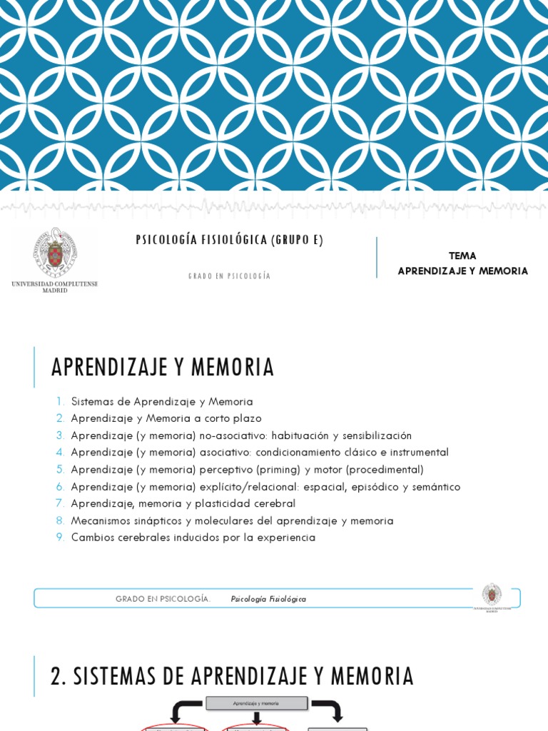 Aprendizaje y Memoria en Psicología | PDF | La potenciación a largo ...