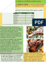 COMPOSICIÓN QUÍMICA DE LA CARNE DE OVINOS: La Carne de Cordero Presenta