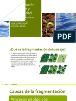 Fragmentación del paisaje y biodiversidad