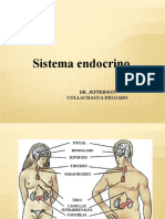 Sistema - Endocrino (1) PPT