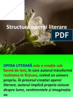 2. Structura Operei Literare