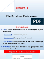 Lecture - 1: The Database Environment
