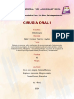 Cirugia Practica - Tarea 10 Grupal