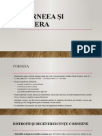 Course VI - Cornea and Sclera - ROM