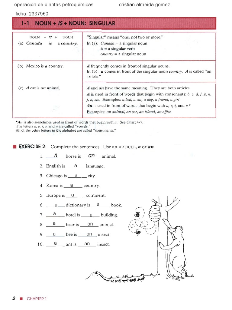 Singular and Plural Noun Exercises | PDF | Grammatical Number | Plural