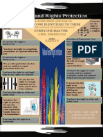 Infographics (Human Rights and Protection)