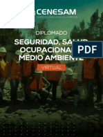 Diplomado Ssoma Peru Edit