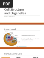 Cell Structure and Organelles: SBI4U-2016/10/14