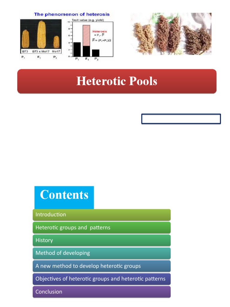 Heterotic Pools | PDF | Plant Breeding | Hybrid (Biology)