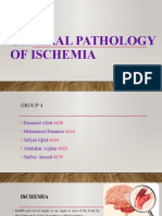 Group 4 General Pathology of Ischemia