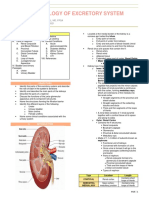 Histology of Excretory System: Outline