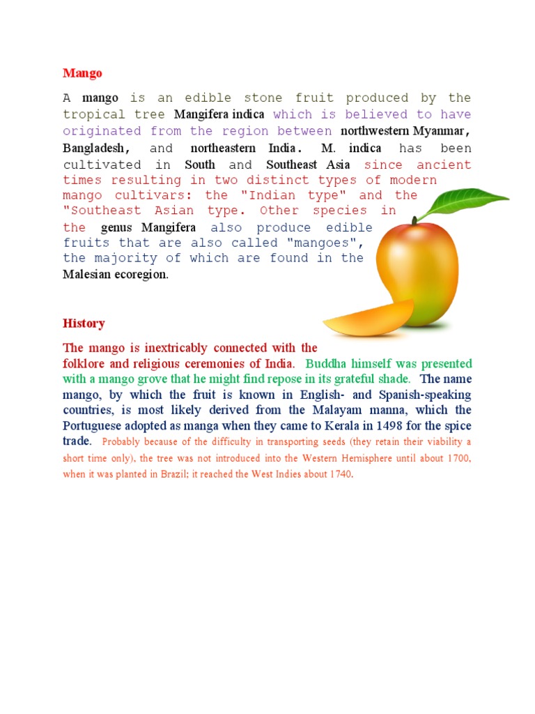 History and Origin of the Mango Tree | PDF | Mango | Trees