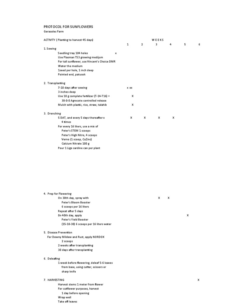 Sunflower Growing Protocol Guide | PDF | Wellness