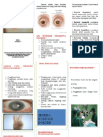 Leaflet Katarak 25