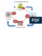 Circuitul Economic Al SRL Juice