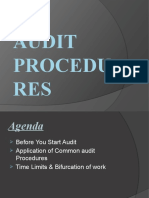 Audit Procedures